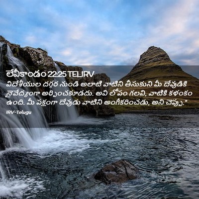 Picture 02 - లేవీకాండం 22:25 TELIRV - విదేశీయుల దగ్గర - Bible Verse Picture