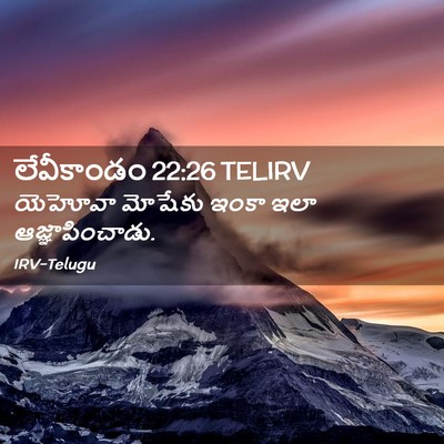 Picture 02 - లేవీకాండం 22:26 TELIRV - యెహోవా మోషేకు - Bible Verse Picture