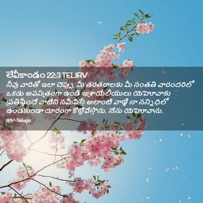 Picture 02 - లేవీకాండం 22:3 TELIRV - నీవు వారితో ఇలా - Bible Verse Picture