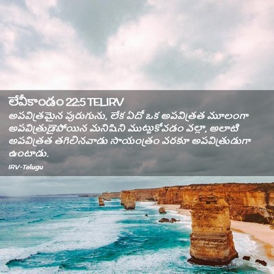 Picture 02 - లేవీకాండం 22:5 TELIRV - అపవిత్రమైన - Bible Verse Picture