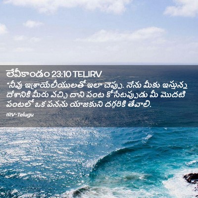 Picture 02 - లేవీకాండం 23:10 TELIRV - “నీవు - Bible Verse Picture