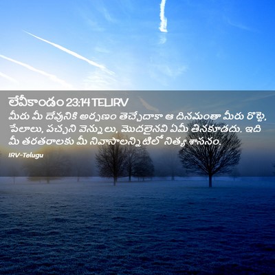 Picture 02 - లేవీకాండం 23:14 TELIRV - మీరు మీ దేవునికి - Bible Verse Picture