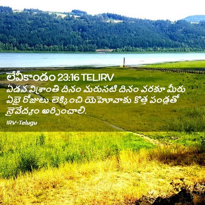 Picture 02 - లేవీకాండం 23:16 TELIRV - ఏడవ విశ్రాంతి - Bible Verse Picture