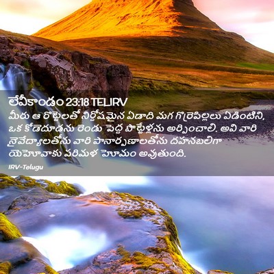 Picture 02 - లేవీకాండం 23:18 TELIRV - మీరు ఆ రొట్టెలతో - Bible Verse Picture