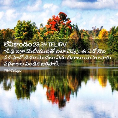 Picture 02 - లేవీకాండం 23:34 TELIRV - “నీవు - Bible Verse Picture