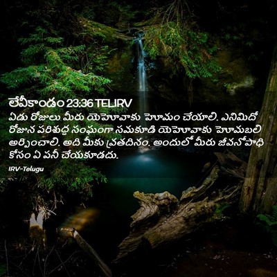 Picture 02 - లేవీకాండం 23:36 TELIRV - ఏడు రోజులు మీరు - Bible Verse Picture