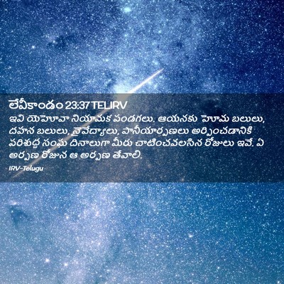Picture 02 - లేవీకాండం 23:37 TELIRV - ఇవి యెహోవా నియామక - Bible Verse Picture