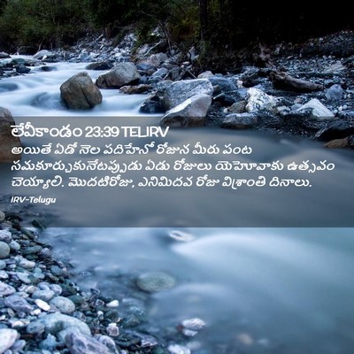 Picture 02 - లేవీకాండం 23:39 TELIRV - అయితే ఏడో నెల - Bible Verse Picture