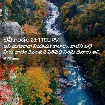 Picture 02 - లేవీకాండం 23:4 TELIRV - ఇవి యెహోవా నియామక - Bible Verse Picture