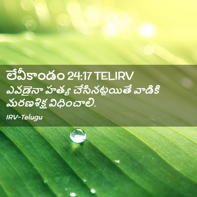 Picture 02 - లేవీకాండం 24:17 TELIRV - ఎవడైనా హత్య - Bible Verse Picture
