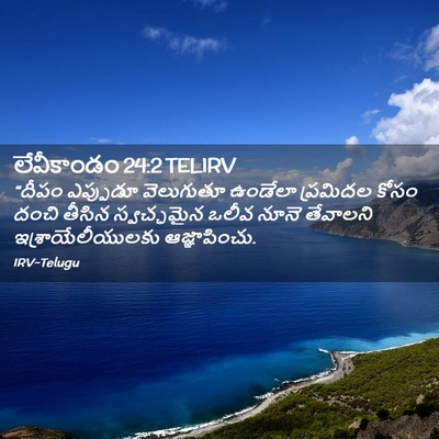 Picture 02 - లేవీకాండం 24:2 TELIRV - “దీపం ఎప్పుడూ - Bible Verse Picture