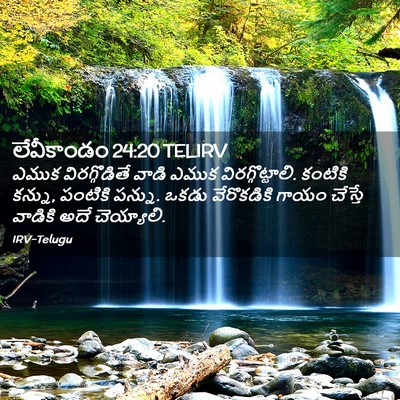 Picture 02 - లేవీకాండం 24:20 TELIRV - ఎముక విరగ్గొడితే - Bible Verse Picture