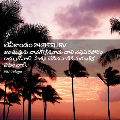 Picture 02 - లేవీకాండం 24:21 TELIRV - జంతువును - Bible Verse Picture