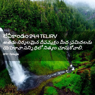Picture 02 - లేవీకాండం 24:4 TELIRV - అతడు నిర్మలమైన - Bible Verse Picture