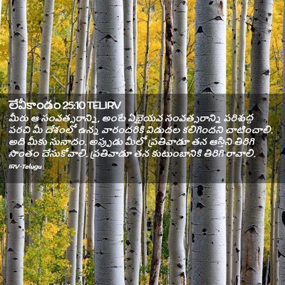 Picture 02 - లేవీకాండం 25:10 TELIRV - మీరు ఆ - Bible Verse Picture