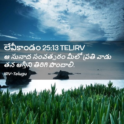 Picture 02 - లేవీకాండం 25:13 TELIRV - ఆ సునాద సంవత్సరం - Bible Verse Picture