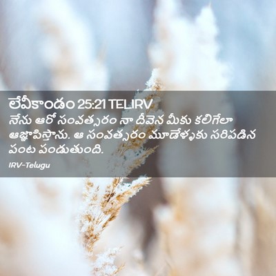 Picture 02 - లేవీకాండం 25:21 TELIRV - నేను ఆరో సంవత్సరం - Bible Verse Picture