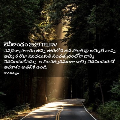 Picture 02 - లేవీకాండం 25:29 TELIRV - ఎవరైనా ప్రాకారం - Bible Verse Picture