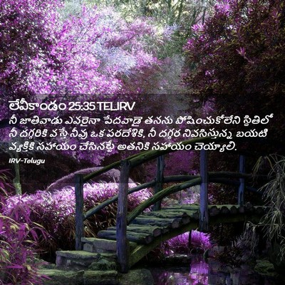 Picture 02 - లేవీకాండం 25:35 TELIRV - నీ జాతివాడు - Bible Verse Picture