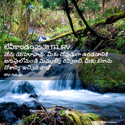 Picture 02 - లేవీకాండం 25:38 TELIRV - నేను యెహోవాను. - Bible Verse Picture