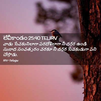 Picture 02 - లేవీకాండం 25:40 TELIRV - వాడు సేవకునిలాగా - Bible Verse Picture