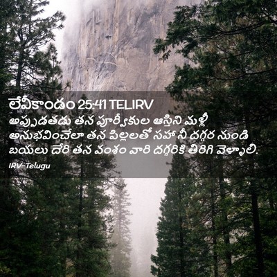 Picture 02 - లేవీకాండం 25:41 TELIRV - అప్పుడతడు తన - Bible Verse Picture