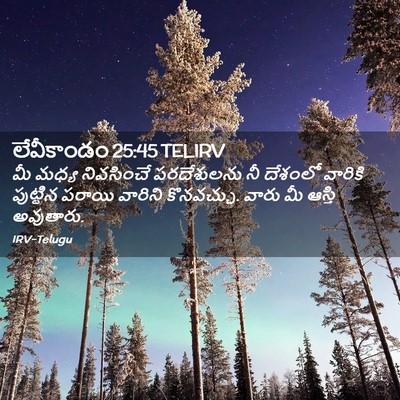 Picture 02 - లేవీకాండం 25:45 TELIRV - మీ మధ్య నివసించే - Bible Verse Picture
