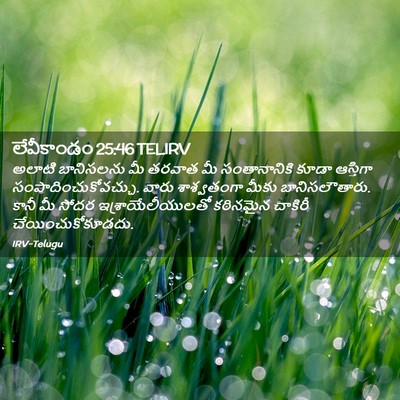 Picture 02 - లేవీకాండం 25:46 TELIRV - అలాటి బానిసలను మీ - Bible Verse Picture