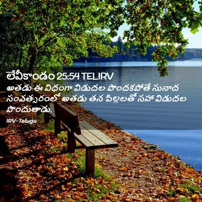 Picture 02 - లేవీకాండం 25:54 TELIRV - అతడు ఈ విధంగా - Bible Verse Picture