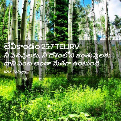 Picture 02 - లేవీకాండం 25:7 TELIRV - నీ పశువులకు, నీ - Bible Verse Picture