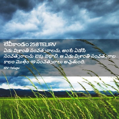 Picture 02 - లేవీకాండం 25:8 TELIRV - ఏడు విశ్రాంతి - Bible Verse Picture