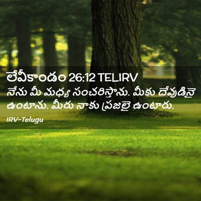 Picture 02 - లేవీకాండం 26:12 TELIRV - నేను మీ మధ్య - Bible Verse Picture
