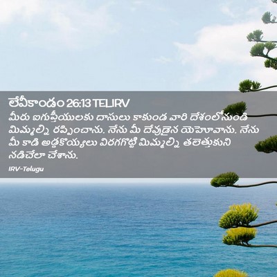 Picture 02 - లేవీకాండం 26:13 TELIRV - మీరు ఐగుప్తీయులకు - Bible Verse Picture