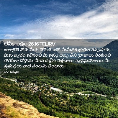 Picture 02 - లేవీకాండం 26:16 TELIRV - అలాగైతే నేను మీకు - Bible Verse Picture