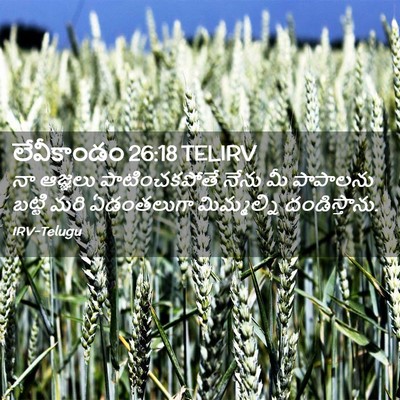 Picture 02 - లేవీకాండం 26:18 TELIRV - నా ఆజ్ఞలు - Bible Verse Picture