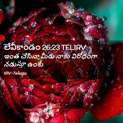Picture 02 - లేవీకాండం 26:23 TELIRV - ఇంత చేసినా మీరు - Bible Verse Picture