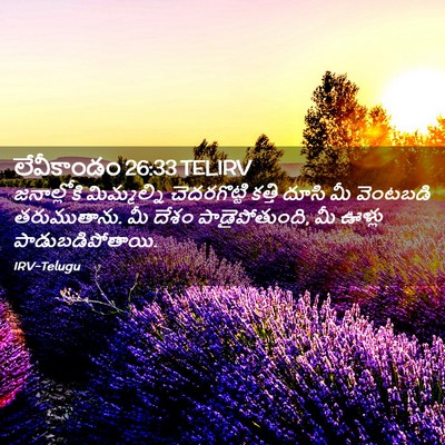 Picture 02 - లేవీకాండం 26:33 TELIRV - జనాల్లోకి - Bible Verse Picture