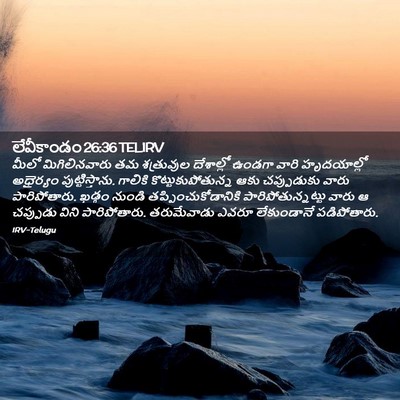 Picture 02 - లేవీకాండం 26:36 TELIRV - మీలో మిగిలినవారు - Bible Verse Picture