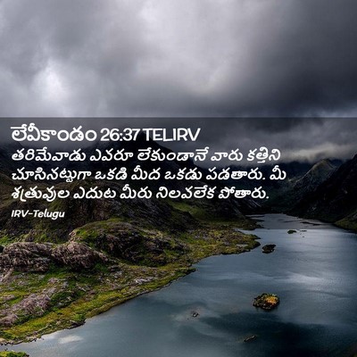 Picture 02 - లేవీకాండం 26:37 TELIRV - తరిమేవాడు ఎవరూ - Bible Verse Picture
