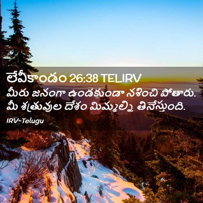 Picture 02 - లేవీకాండం 26:38 TELIRV - మీరు జనంగా - Bible Verse Picture
