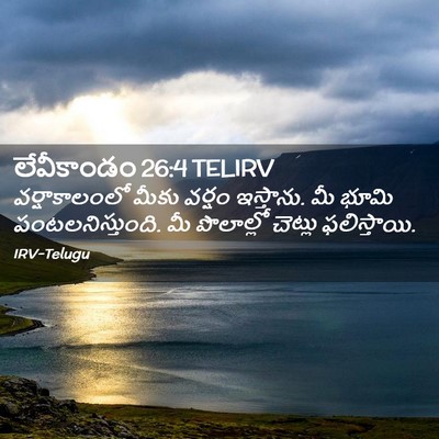 Picture 02 - లేవీకాండం 26:4 TELIRV - వర్షాకాలంలో మీకు - Bible Verse Picture