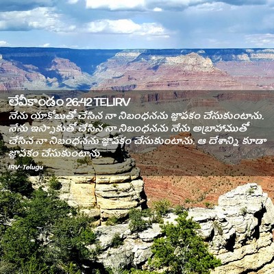 Picture 02 - లేవీకాండం 26:42 TELIRV - నేను యాకోబుతో - Bible Verse Picture