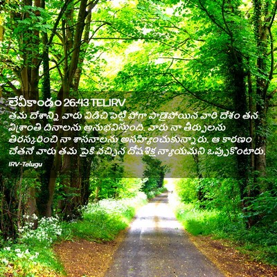 Picture 02 - లేవీకాండం 26:43 TELIRV - తమ దేశాన్ని వారు - Bible Verse Picture
