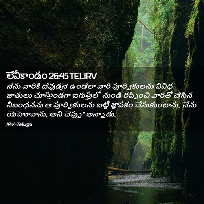 Picture 02 - లేవీకాండం 26:45 TELIRV - నేను వారికి - Bible Verse Picture