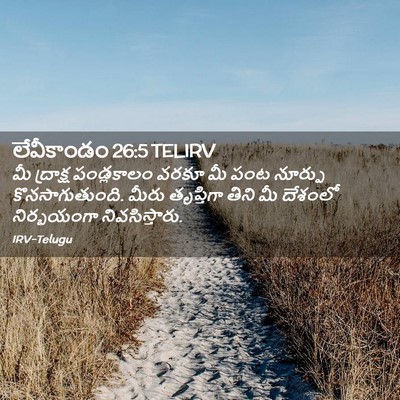 Picture 02 - లేవీకాండం 26:5 TELIRV - మీ ద్రాక్ష - Bible Verse Picture