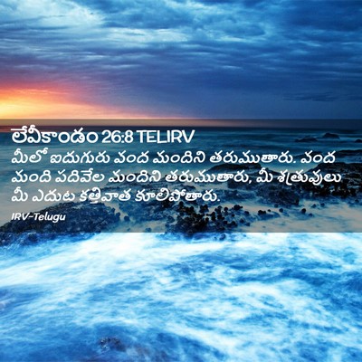 Picture 02 - లేవీకాండం 26:8 TELIRV - మీలో ఐదుగురు వంద - Bible Verse Picture