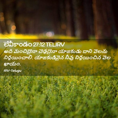 Picture 02 - లేవీకాండం 27:12 TELIRV - అది మంచిదైనా - Bible Verse Picture
