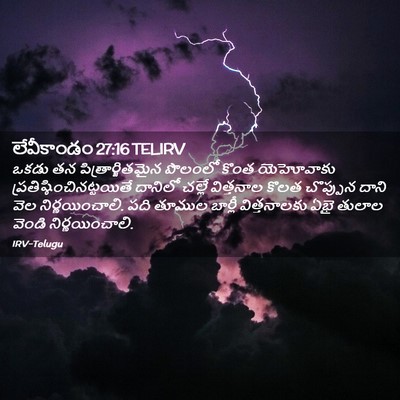 Picture 02 - లేవీకాండం 27:16 TELIRV - ఒకడు తన - Bible Verse Picture