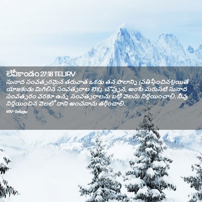 Picture 02 - లేవీకాండం 27:18 TELIRV - సునాద సంవత్సరమైన - Bible Verse Picture
