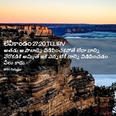 Picture 02 - లేవీకాండం 27:20 TELIRV - అతడు ఆ పొలాన్ని - Bible Verse Picture